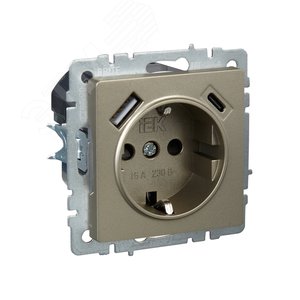 BRITE Розетка с заземлением с защитными шторками 16А с USB A+C 18Вт РЮш11-1-БрШ шампань - фото 2