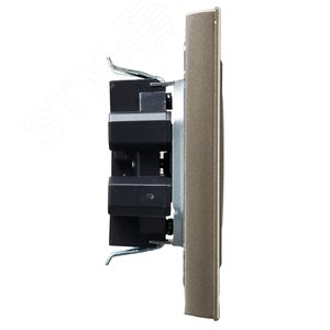 BRITE Розетка 2-местная без заземления с защитными шторками 10А в сборе РСш12-2-БрШ шампань IEK - фото 3