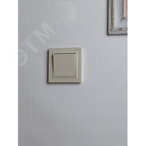 BRITE Рамка 1 пост IP44Р У-1-БрКр-44 бежевый - фото 6