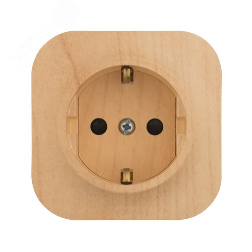 Розетка 1-местная для открытой установки с заземлением с защитными шторками 16Адерево QUTEO - фото 4