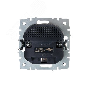 BRITE Розетка с заземлением с защитными шторками 16А с USB A+A 2,1А РЮш10-1-БрШ шампань - фото 4