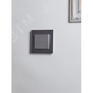 BRITE Выключатель одноклавишный проходной 10А ВС10-1-6-БрА алюминий - фото 7