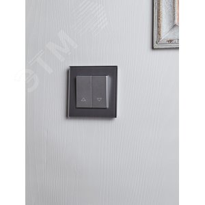 BRITE Выключатель жалюзи 10А ВС10-1-5-БрА алюминий - фото 7