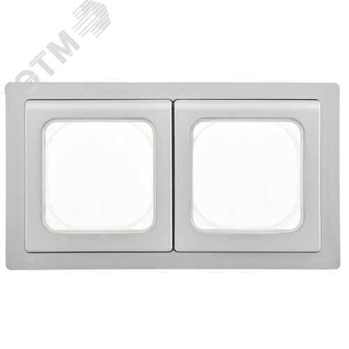 FLITE Рамка 2-местная IP55 Рпро-2-55-ФлА алюминий IEK - фото 3