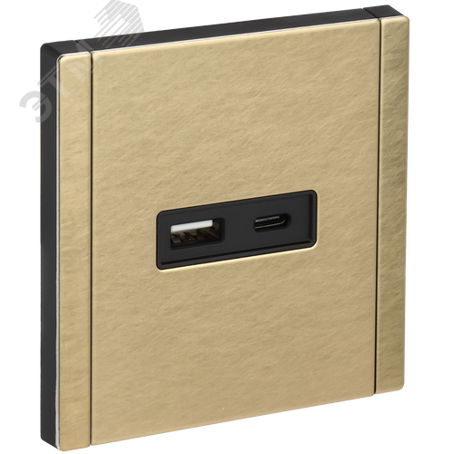 Изображение товара FORTE&PIANO Розетка USB A+C 3,1А FP650M металл шампань IEK (шт)