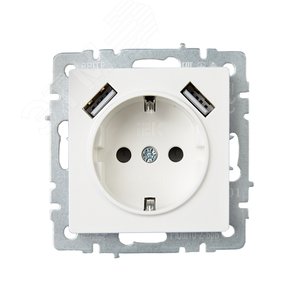 BRITE Розетка 1 пост с заземлением с защитными шторками 16А с USB A+A 5В 3,1А РЮш10-2-БрБ белый - фото 2