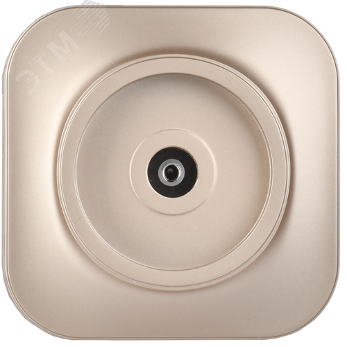 GLORY Розетка для открытой установки TV РТВ20-ХШм шампань матовый IEK - фото 5