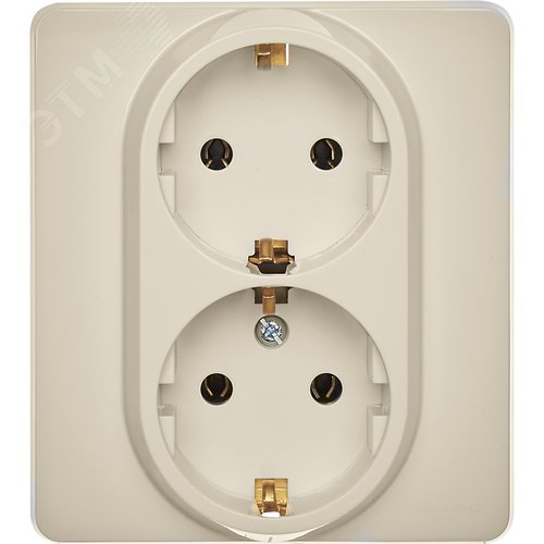 Розетка 2-местная с заземлением без защитных шторок 16А в сборе слоновая кость INSPIRIA - фото 4