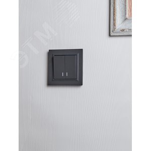 BRITE Выключатель двухклавишный с индикацией 10А ВС10-2-1-БрГ графит - фото 7