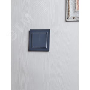 BRITE Выключатель двухклавишный 10А в сборе ВСР10-2-0-БрМ маренго IEK - фото 7