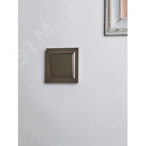 BRITE Выключатель одноклавишный проходной 10А ВС10-1-6-БрШ шампань - фото 7