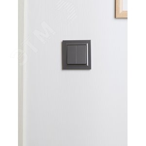 BRITE Рамка 1 пост РУ-1-БрС сталь - фото 6