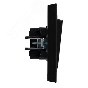 BRITE Выключатель двухклавишный 10А в сборе ВСР10-2-0-БрЧ черный IEK - фото 3