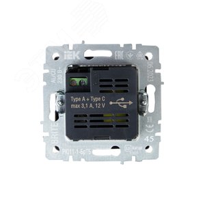 BRITE Розетка USB A+C 18Вт РЮ11-1-БрТБ темная бронза - фото 4