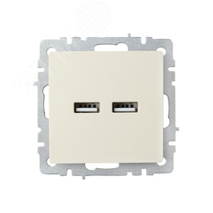 BRITE Розетка USB A+A 5В 3,1А РЮ10-1-БрКр бежевый - фото 2