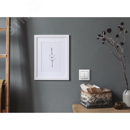 Выключатель 2-клавишный схема 5 10А безвинтовое крепление белый VALENA - фото 3