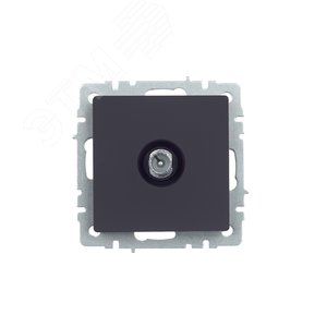 BRITE Розетка TV проходная РТВ10-0-БрГ графит - фото 2