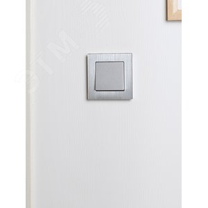 BRITE Рамка 1 пост РУ-1-1-БрА металл алюминий - фото 6