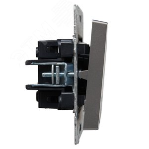 BRITE Выключатель двухклавишный с индикацией 10А ВС10-2-1-БрС сталь - фото 3