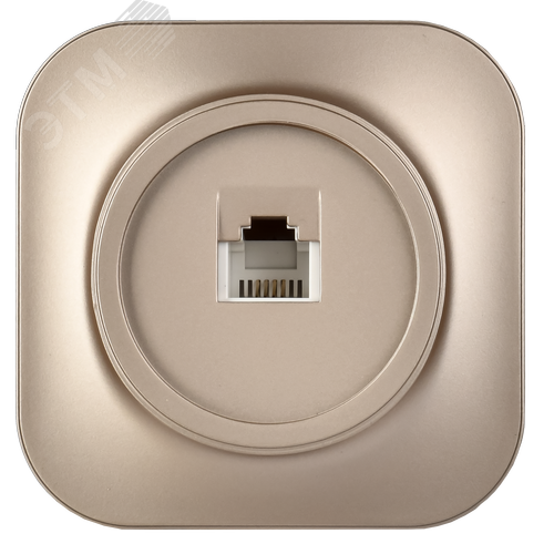 GLORY Розетка для открытой установки телефонная RJ11 РТ20-ХШм шампань матовый IEK - фото 4