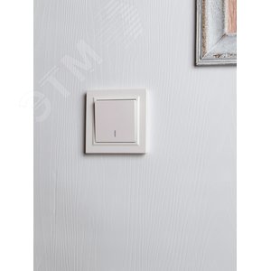 BRITE Выключатель одноклавишный проходной с индикацией 10А ВС10-1-7-БрЖ жемчуг IEK - фото 6