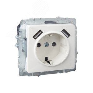 BRITE Розетка 1 пост с заземлением с защитными шторками 16А с USB A+A 5В 3,1А РЮш10-2-БрБ белый - фото 6