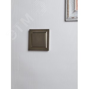 BRITE Выключатель одноклавишный 10А в сборе ВСР10-1-0-БрШ шампань IEK - фото 6