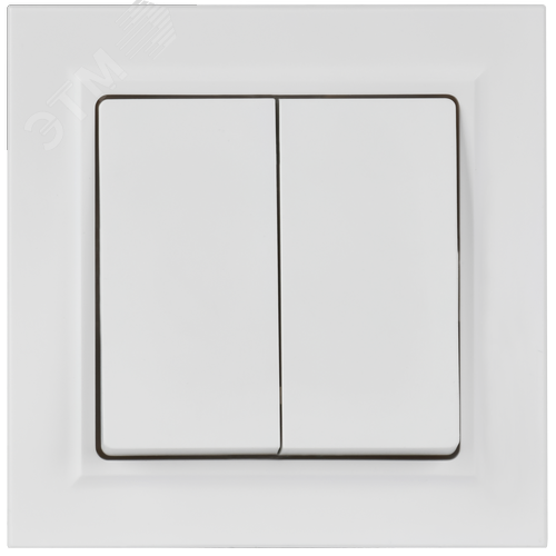 BRITE Выключатель 2-клавишный 10А в сборе ВСР10-2-0-БрАБ арктический белый IEK - фото 4