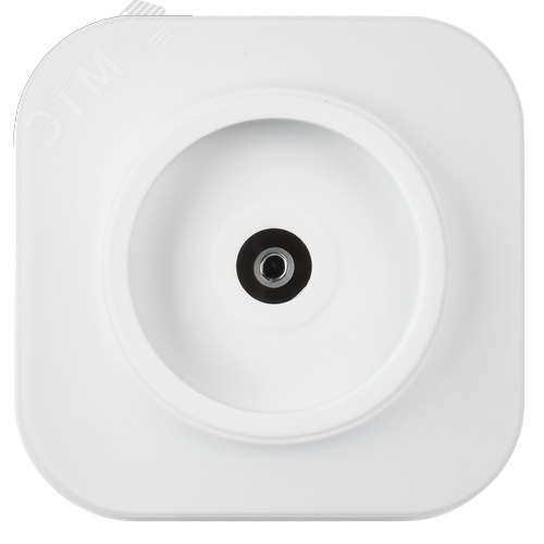 GLORY Розетка для открытой установки TV РТВ20-ХБм белый матовый IEK - фото 4