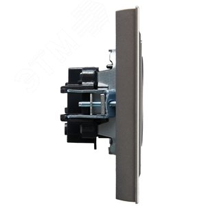 BRITE Розетка 1 пост без заземления без защитных шторок 10А в сборе РСР10-1-0-БрС сталь IEK - фото 3