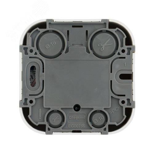 Розетка для открытой установки компьютерная RJ45 кат.5E UTP белый QUTEO - фото 2