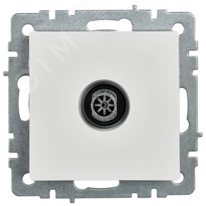 BRITE Розетка TV оконечная РТВ11-0-БрБ белый - фото 3