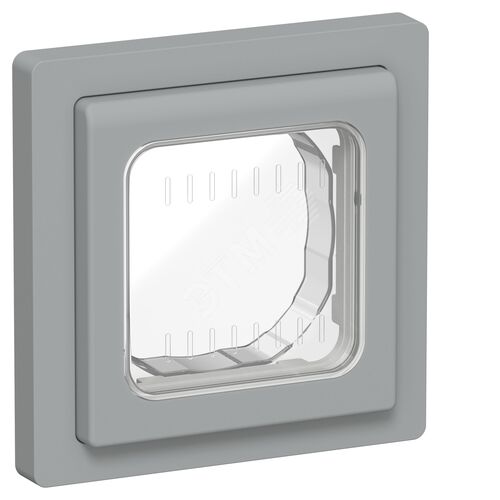 Изображение товара FLITE Рамка 1-местная IP55 Рпро-1-55-ФлС серый (шт)