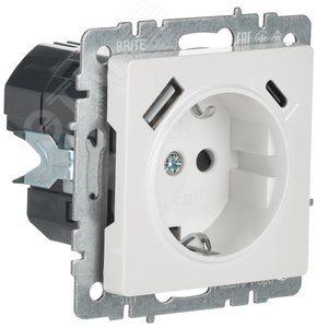 BRITE Розетка с заземлением с защитными шторками 16А с USB A+C 18Вт РЮш11-1-БрБ белый - фото 5