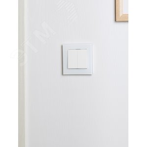 BRITE Рамка 1 пост РУ-1-2-БрБ стекло белый - фото 6