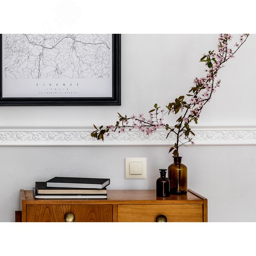 Выключатель 1-клавишный 10А безвинтовое крепление слоновая кость ETIKA - фото 5