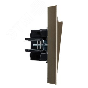 BRITE Выключатель одноклавишный 10А в сборе ВСР10-1-0-БрШ шампань IEK - фото 3