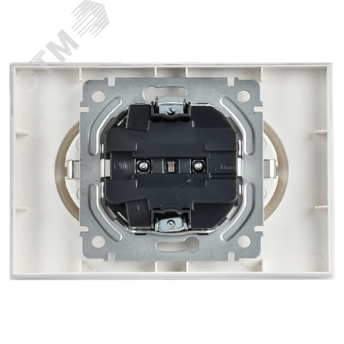 BRITE Розетка 2-местная с заземлением с защитными шторками 16А в сборе РСш12-3-БрАБ арктический белый IEK - фото 4