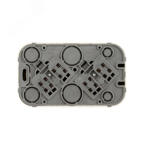 Розетка 2-местная для открытой установки с заземлением без защитных шторок с предварительным подключением 16А белый QUTEO - фото 5