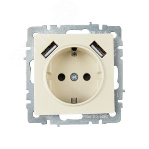 BRITE Розетка с заземлением с защитными шторками 16А с USB A+A 3,1А РЮш10-2-БрКр бежевый - фото 2