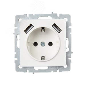 BRITE Розетка с заземлением с защитными шторками 16А с USB A+A 3,1А РЮш10-2-БрЖ жемчуг - фото 2