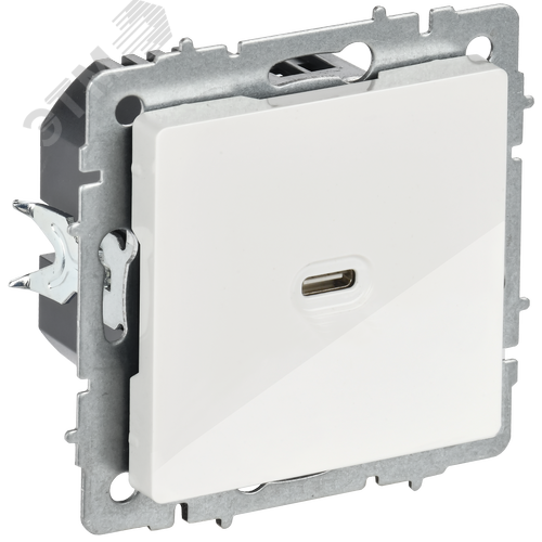 BRITE Розетка USB C 65Вт высокоскоростная зарядка РЮ12-1-БрБ белый IEK - фото 1