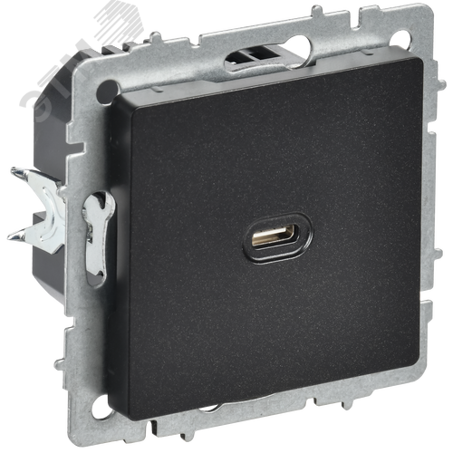 BRITE Розетка USB C 65Вт высокоскоростная зарядка РЮ12-1-БрЧ черный IEK - фото 1