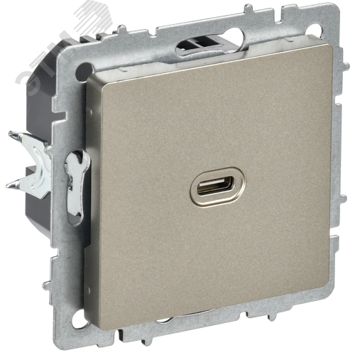 BRITE Розетка USB C 65Вт высокоскоростная зарядка РЮ12-1-БрШ шампань IEK - фото 1