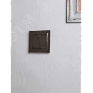 BRITE Выключатель двухклавишный проходной 10А ВС10-2-6-БрТБ темная бронза - фото 7