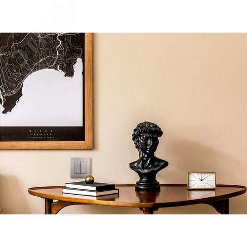 Выключатель 2-клавишный с подсветкой/индикацией 10А безвинтовое крепление алюминий ETIKA - фото 5