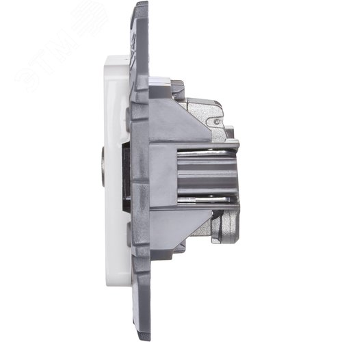 Розетка TV тип звезда белый INSPIRIA - фото 4