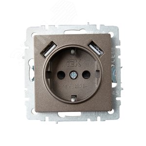 BRITE Розетка с заземлением с защитными шторками 16А с USB A+A 2,1А РЮш10-1-БрТБ бронза - фото 2