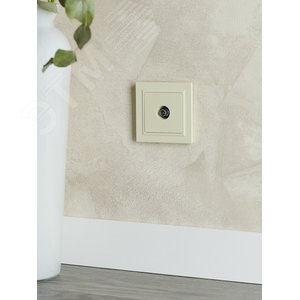 BRITE Розетка TV оконечная РТВ11-0-БрКр бежевый - фото 8