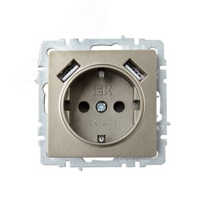 BRITE Розетка с заземлением с защитными шторками 16А с USB A+A 3,1А РЮш10-2-БрШ шампань - фото 2